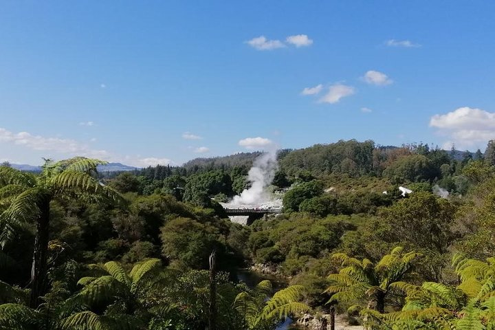 Te Puia, Rotorua